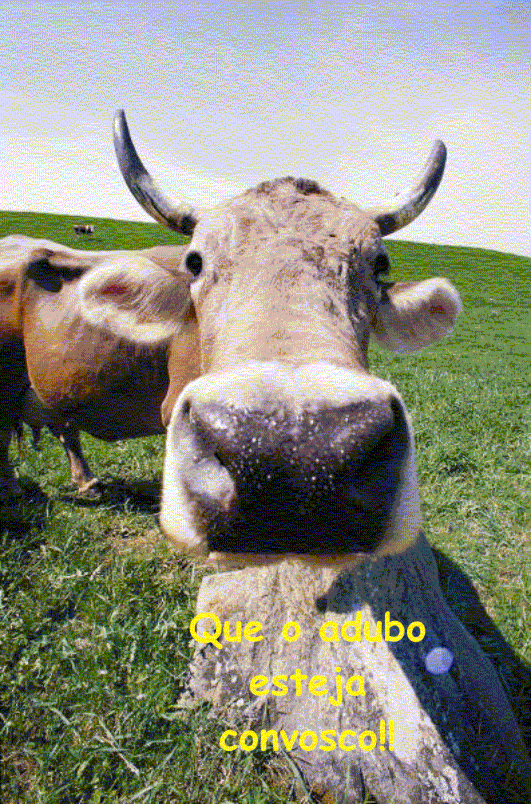 vaka.gif